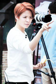 F(x) amber hairstyles fx-amber-hairstyles-41_2