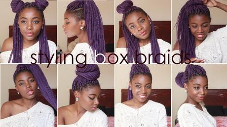 Hairstyles i can do with braids hairstyles-i-can-do-with-braids-88_2