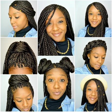 Hairstyles i can do with braids hairstyles-i-can-do-with-braids-88_5