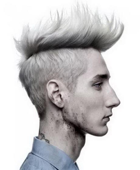 Hairstyles mohawk hairstyles-mohawk-17_11