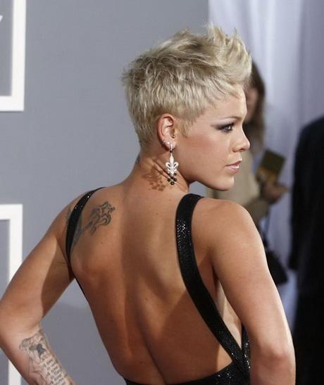 Hairstyles p nk hairstyles-p-nk-76_19