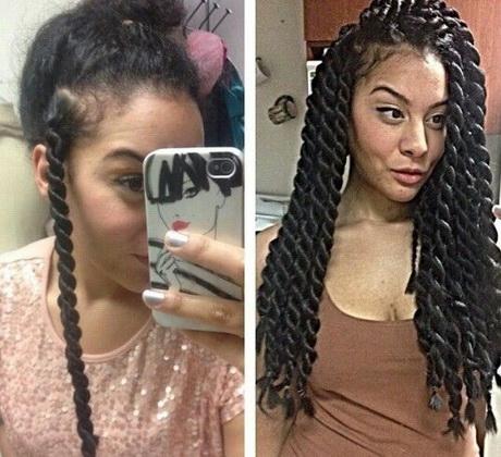 Hairstyles you can do with braids hairstyles-you-can-do-with-braids-80_15