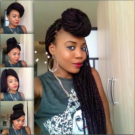 Hairstyles you can do with braids hairstyles-you-can-do-with-braids-80_7