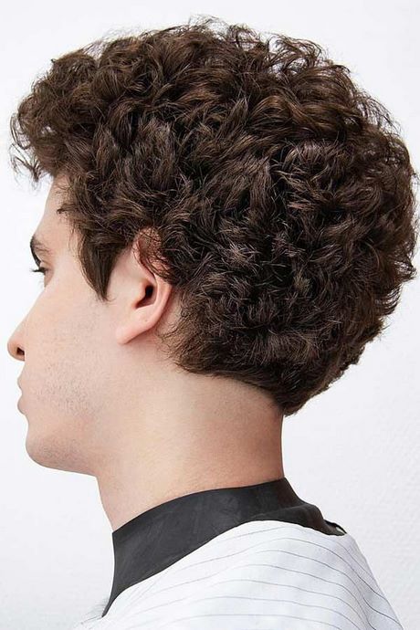 Hairstyles for dry curly hair