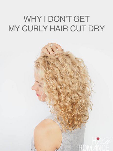 Hairstyles for dry curly hair hairstyles-for-dry-curly-hair-10_2