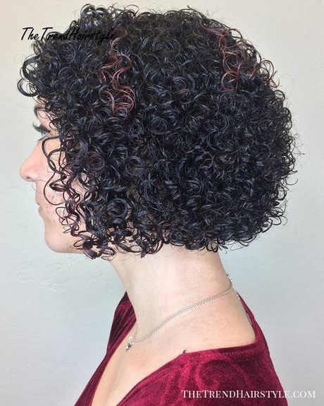 Hairstyles for super curly hair hairstyles-for-super-curly-hair-78_6