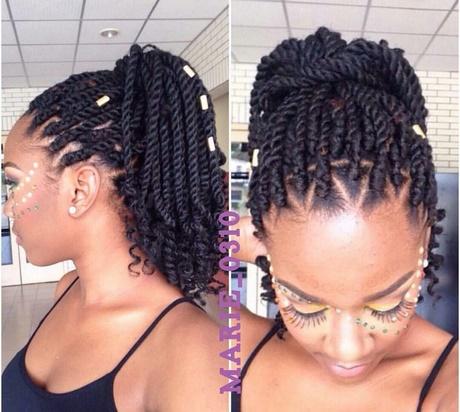B ack braid hairstyles pictures b-ack-braid-hairstyles-pictures-16_5