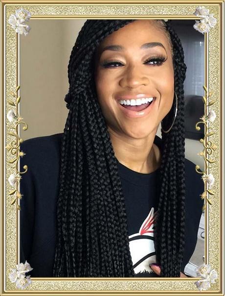 Box braids hairstyles pictures box-braids-hairstyles-pictures-33_10