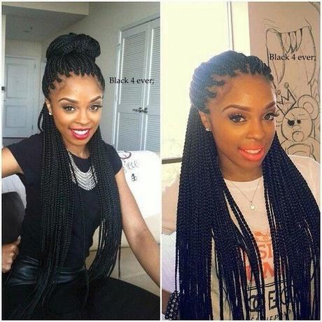 Box braids hairstyles pictures box-braids-hairstyles-pictures-33_14