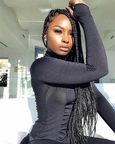 Box braids hairstyles pictures box-braids-hairstyles-pictures-33_15