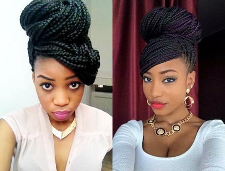 Box braids hairstyles pictures box-braids-hairstyles-pictures-33_17