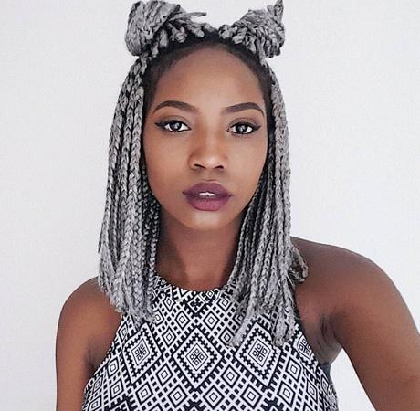 Box braids hairstyles pictures box-braids-hairstyles-pictures-33_2