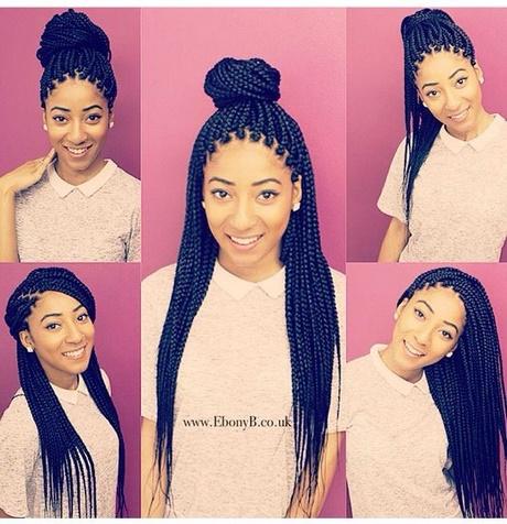 Box braids hairstyles pictures box-braids-hairstyles-pictures-33_6
