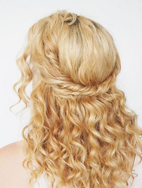 Easy updos long curly hair easy-updos-long-curly-hair-33_9