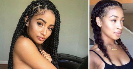 Black braid hairstyles 2019 black-braid-hairstyles-2019-96_5