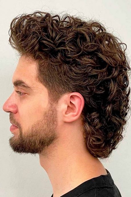 Haircuts for curly hair 2023 haircuts-for-curly-hair-2023-32_16