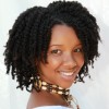 Natural black hairstyles twists