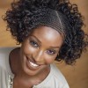 Braided afro hairstyles
