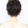 The back of a pixie cut