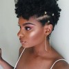 Black american hairstyles 2021