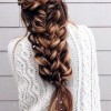Braided hairstyles for long thick hair